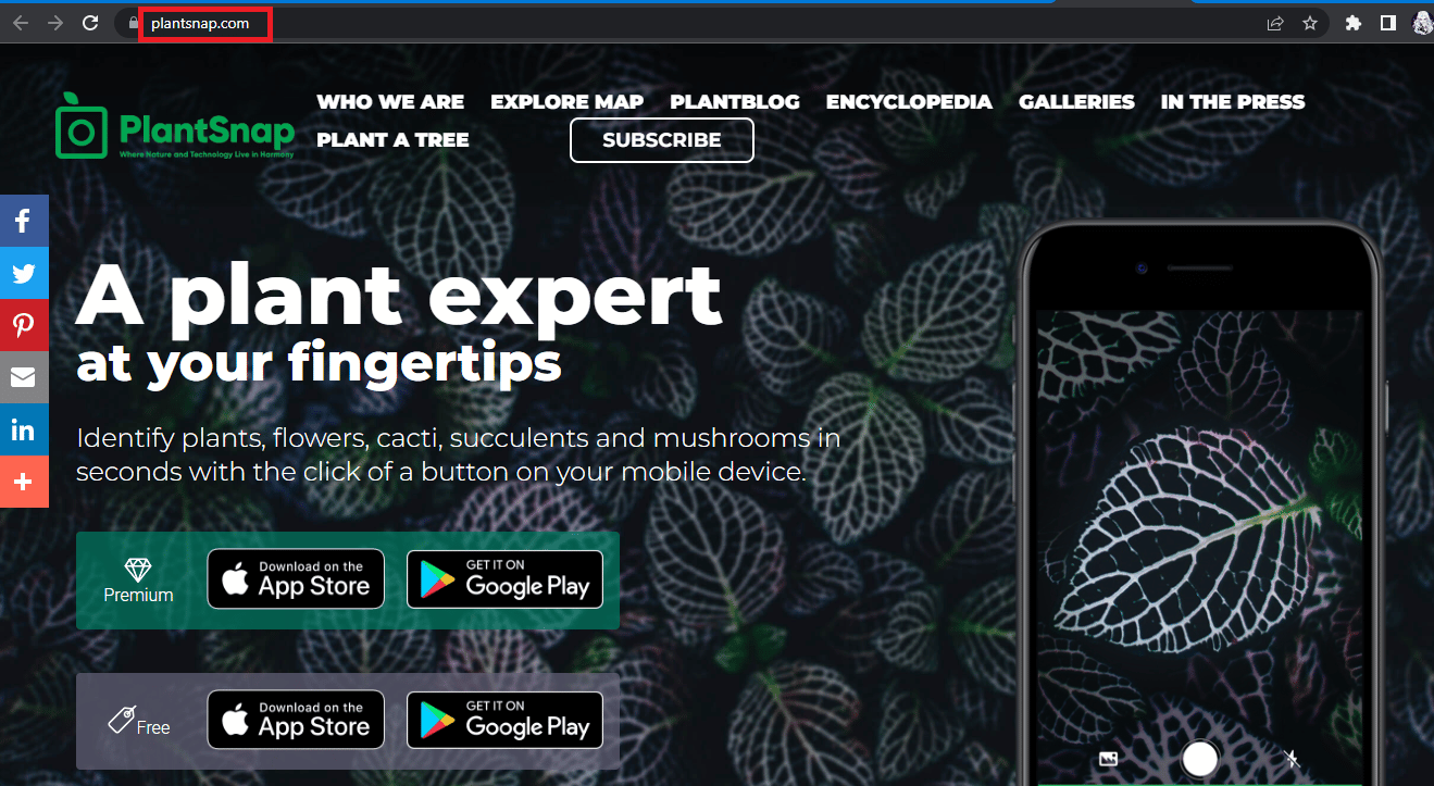 Домашняя страница PlantSnap | Лучшие приложения для определения деревьев по коре