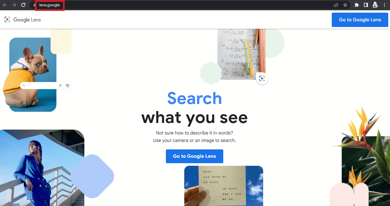 구글 렌즈 홈페이지