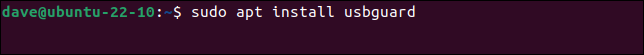 การติดตั้ง USBGuard บน Ubuntu ด้วย apt