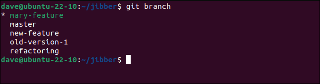 การแสดงรายการสาขาในเครื่องด้วยคำสั่ง git branch โดยเลือกสำเนาที่สร้างขึ้นใหม่ของสาขาระยะไกลเป็นสาขาปัจจุบัน