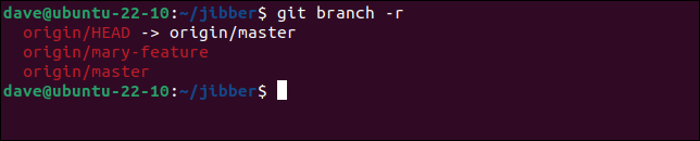 Usando o comando git branch -r para listar branches remotos