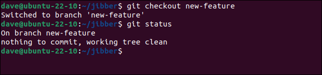 Vérification d'une branche locale avec la commande git checkout