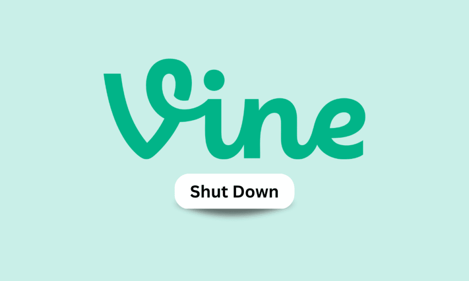 Quand Vine s'est-il arrêté ?