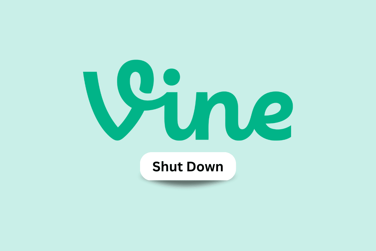 Quand Vine s'est-il arrêté ?