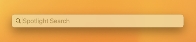 空の Spotlight 検索フィールド