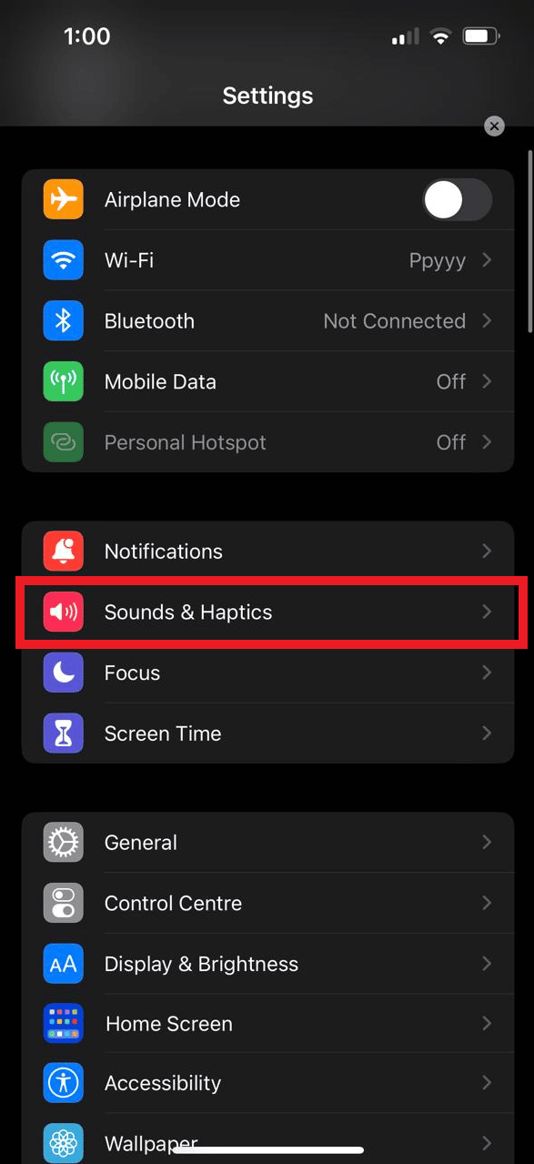 Buka opsi Sounds and Haptics/ Sounds. | Volume panggilan iPhone terlalu rendah setelah pembaruan
