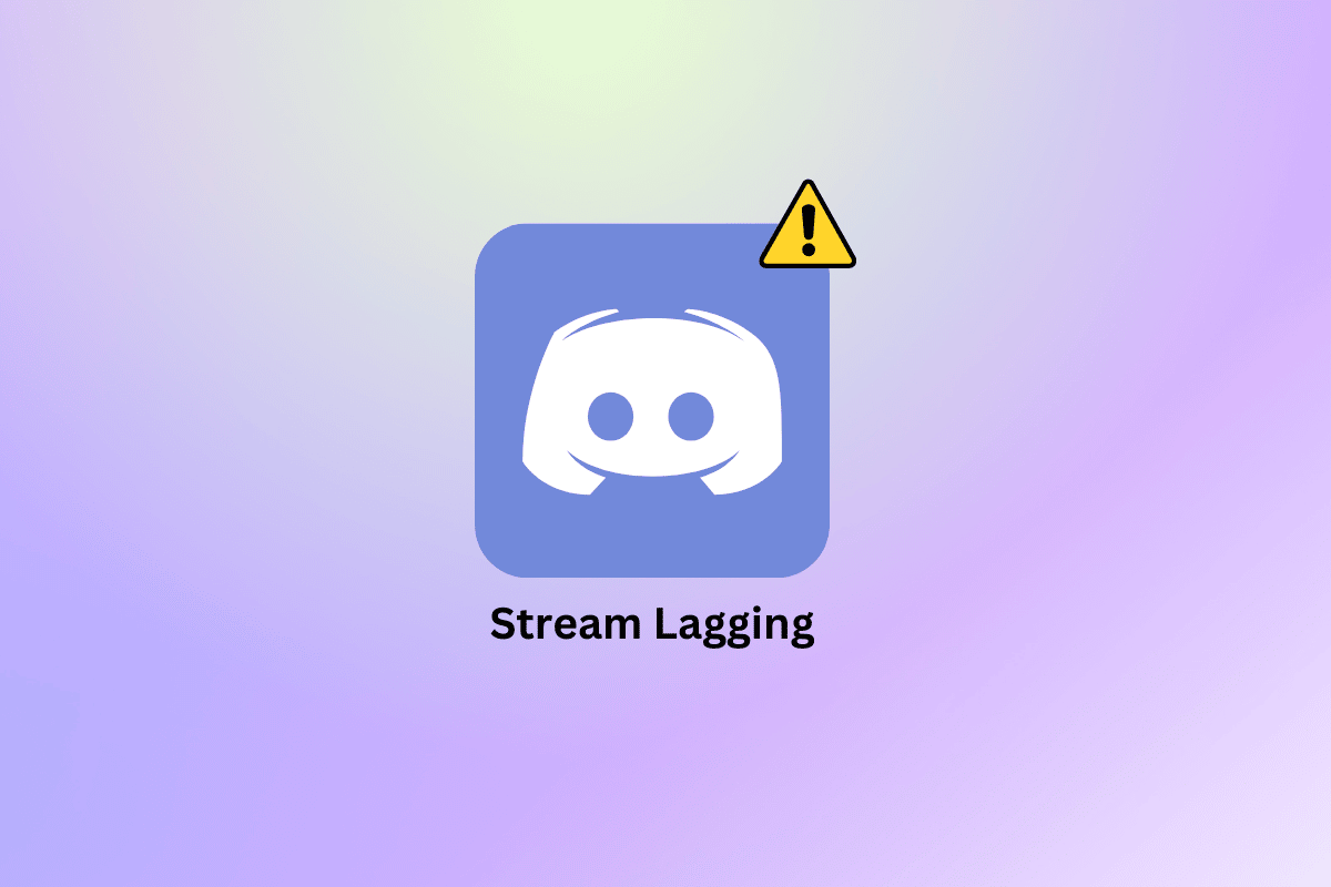 15 modi per correggere Discord Stream Lagging su Windows 10 e 11