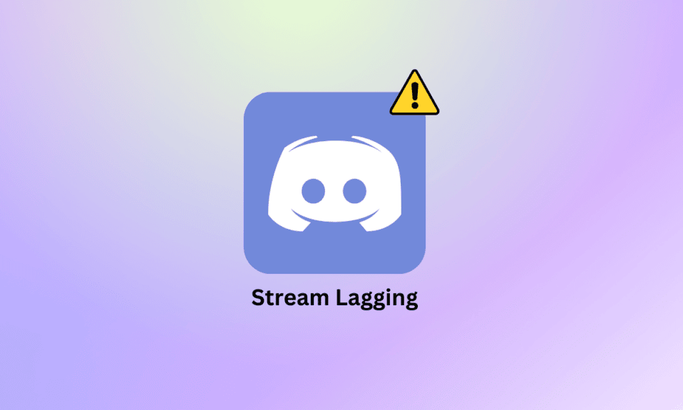 15 modi per correggere Discord Stream Lagging su Windows 10 e 11