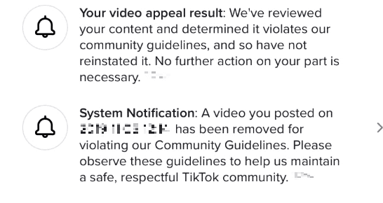 Você violou as diretrizes da comunidade do TikTok?