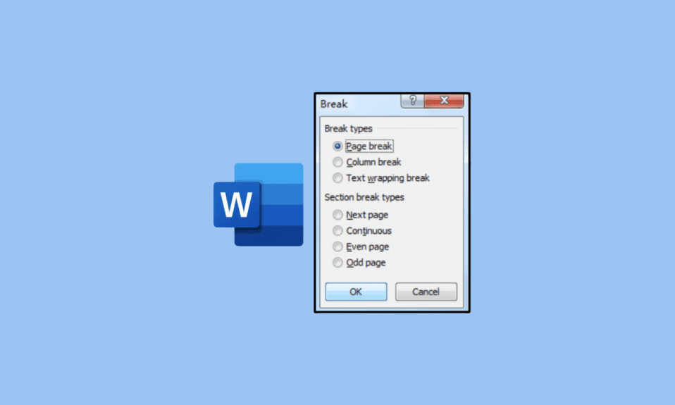 Was ist Seitenumbruch in Microsoft Word?