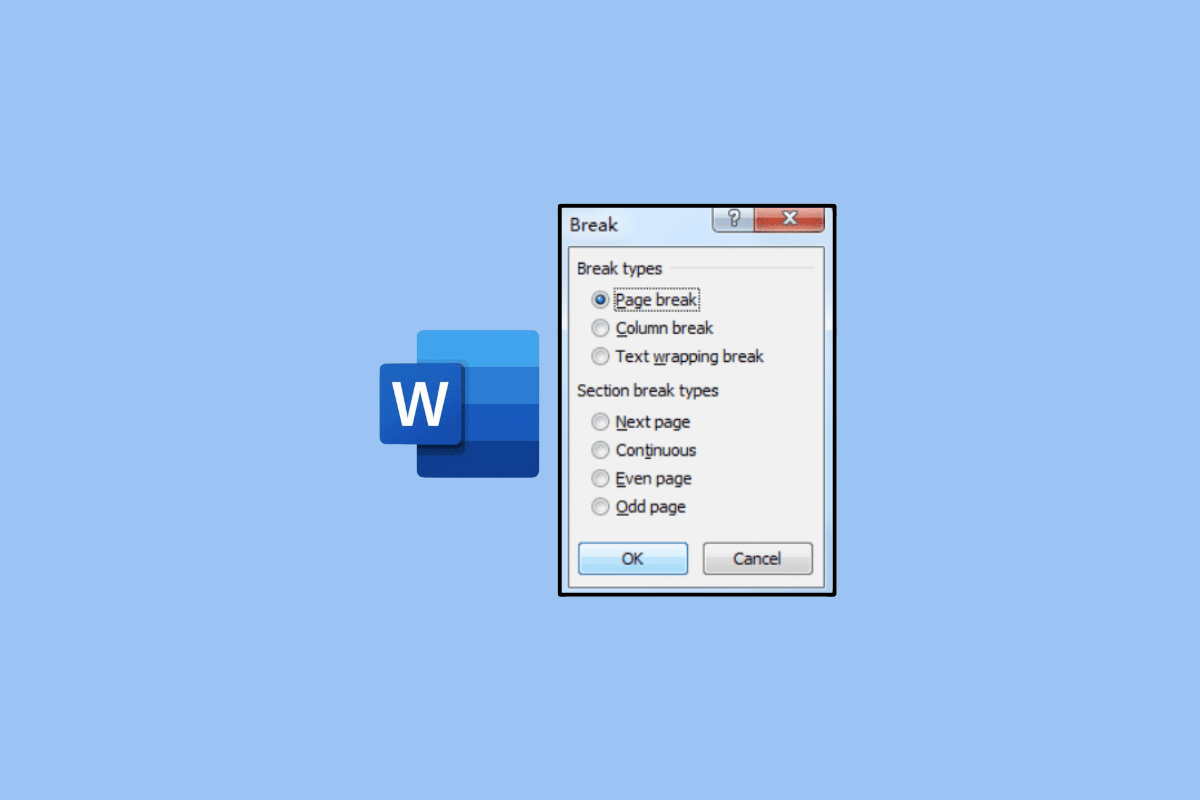 Microsoft Word 中的分页符是什么？