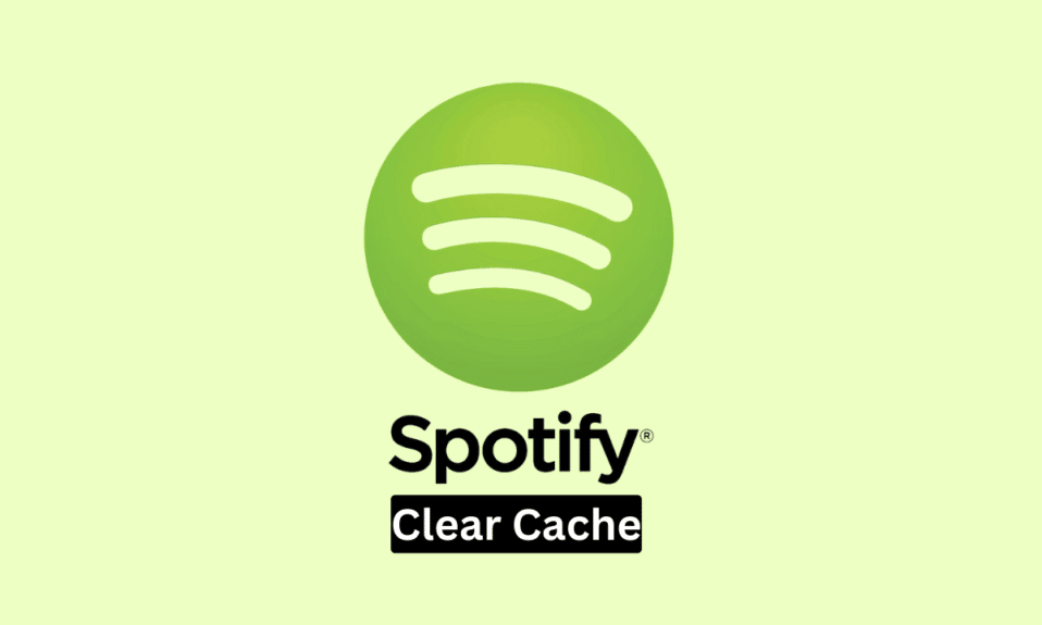 Cómo borrar la caché de Spotify en Windows 10