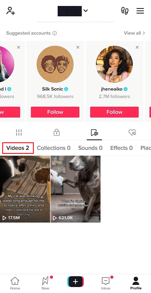 单击“视频”选项卡以查看您最喜爱的 TikTok 视频