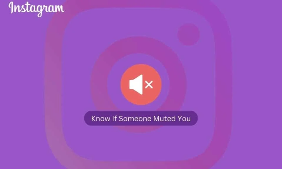 Instagramで誰かがあなたをミュートしたかどうかを知る方法