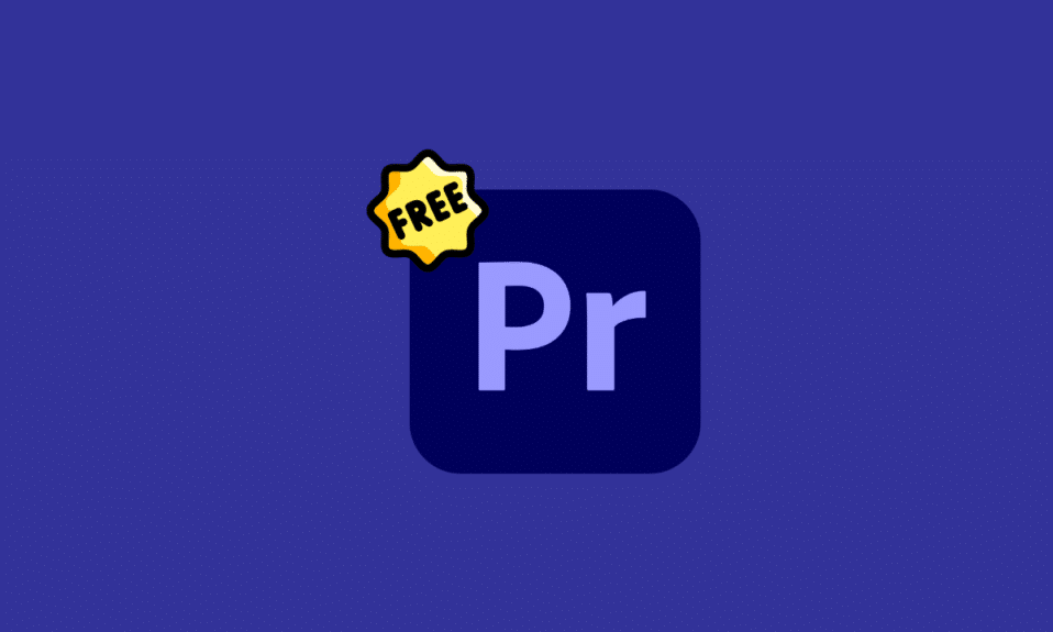 Windows 11용 Adobe Premiere Pro 무료 다운로드