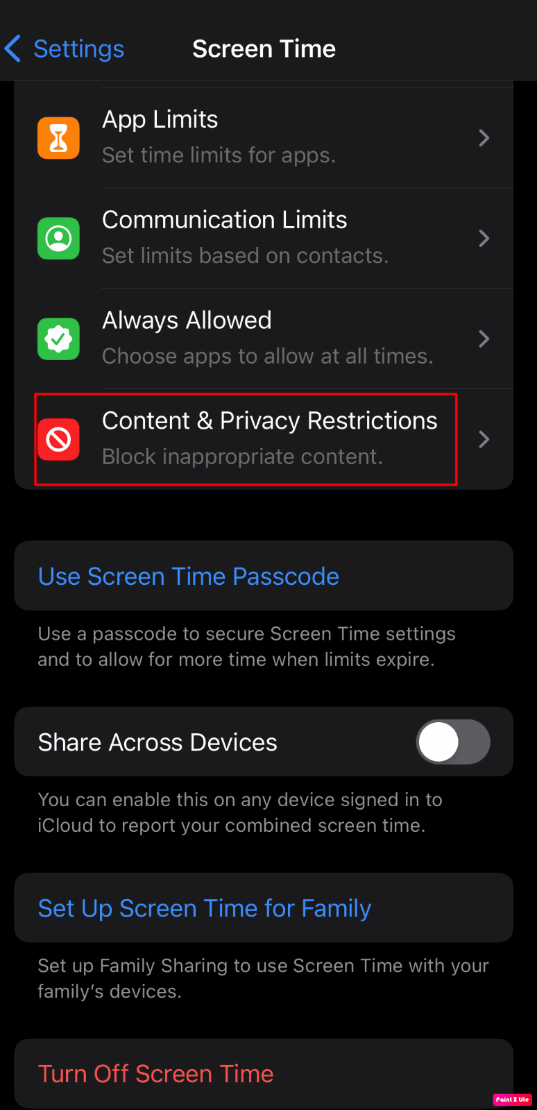 elige las restricciones de contenido y privacidad | reparar la cámara del iPhone que no funciona