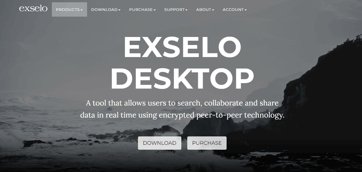 Site Web d'Exselo Desktop