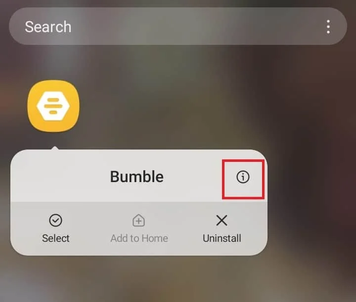 Seleziona Informazioni sull'app. 10 modi per risolvere Bumble bloccato nella schermata di caricamento