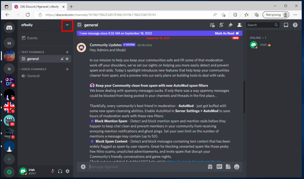 Sunucunun adına tıklayın. Discord Sunucusu Sahibi Tacının Gösterilmemesi Düzeltildi