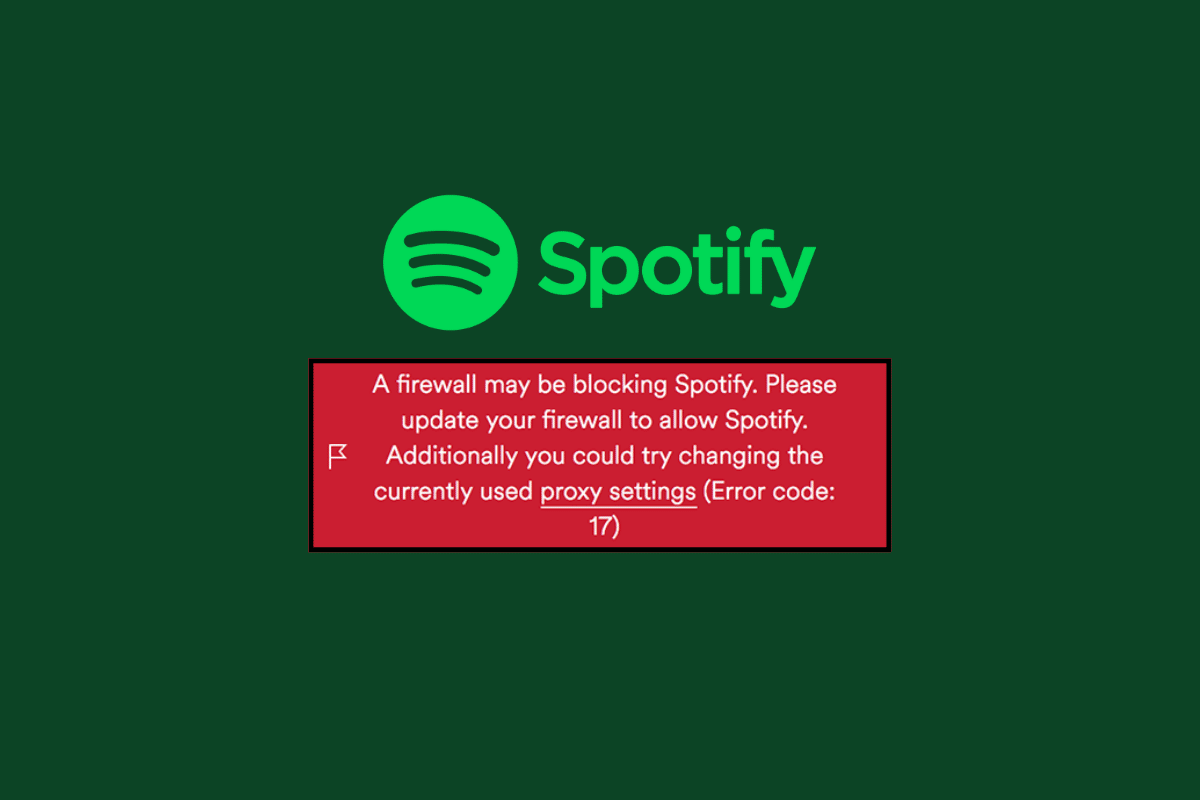 แก้ไข Spotify Error Code 17 บน Windows 10