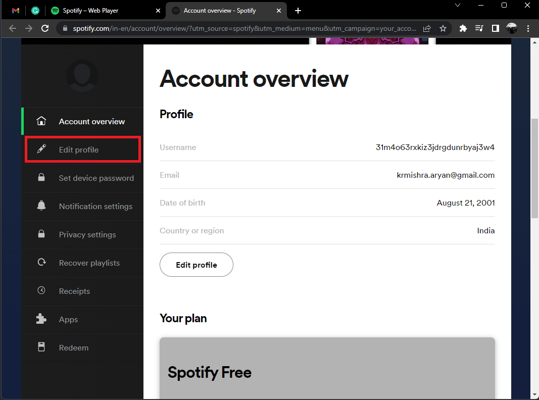 wählen Sie Profil bearbeiten. Beheben Sie den Spotify-Fehlercode 17 unter Windows 10