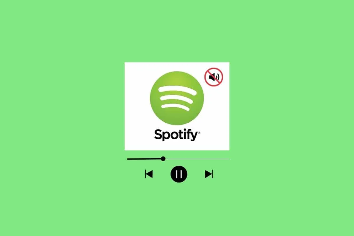 แก้ไขไม่มีเสียงบน Spotify บน Android