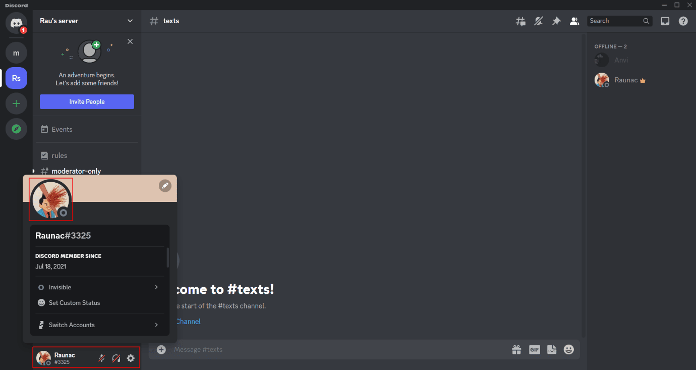 Avatar evidențiat cu pictograma de stare Invizibil pe un server Discord