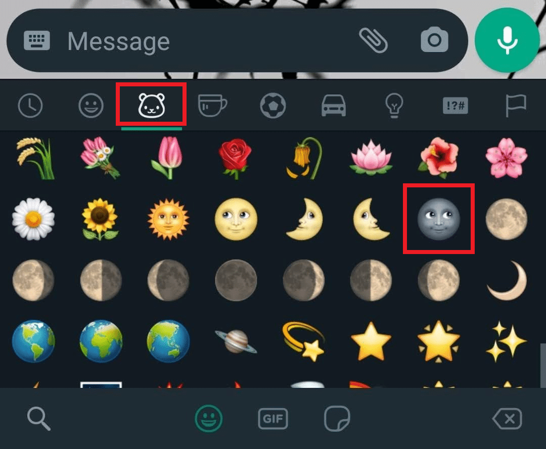 Sohbet kutusundan emoji simgesi - Hayvanlar emojisi sekmesi - kara ay emojisi