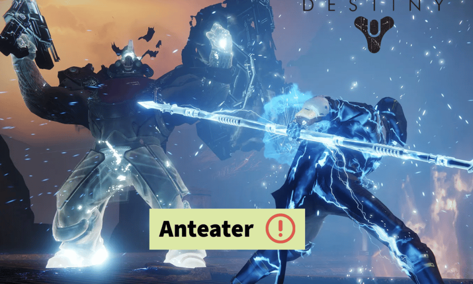 Beheben Sie den Destiny 2-Fehlercode Ameisenbär