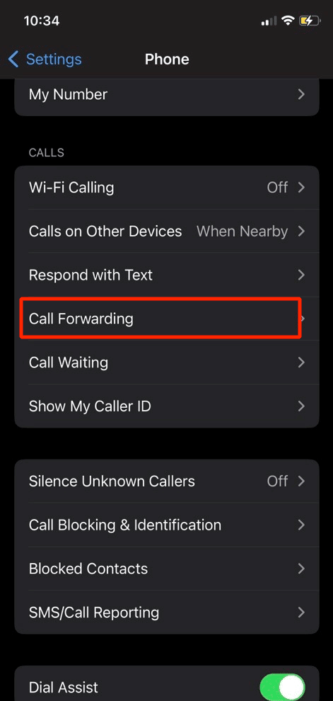 اضغط على تحويل المكالمات. 16 طرق لإصلاح مشكلة عدم رنين iPhone
