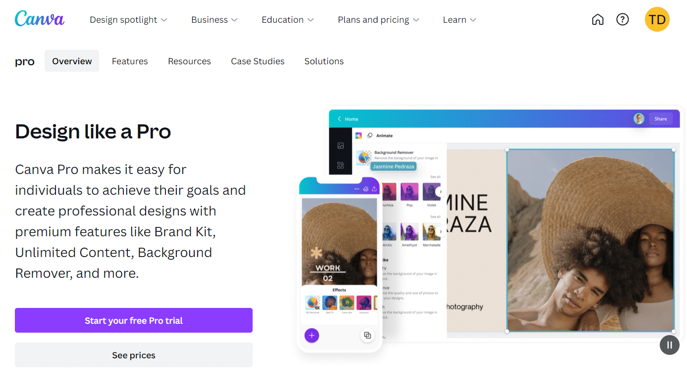 Canva Pro