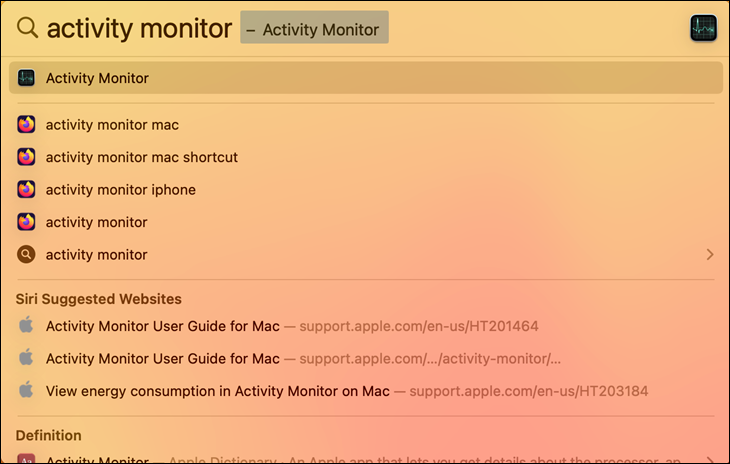 Spotlight 検索で「Activity Monitor」を検索します。