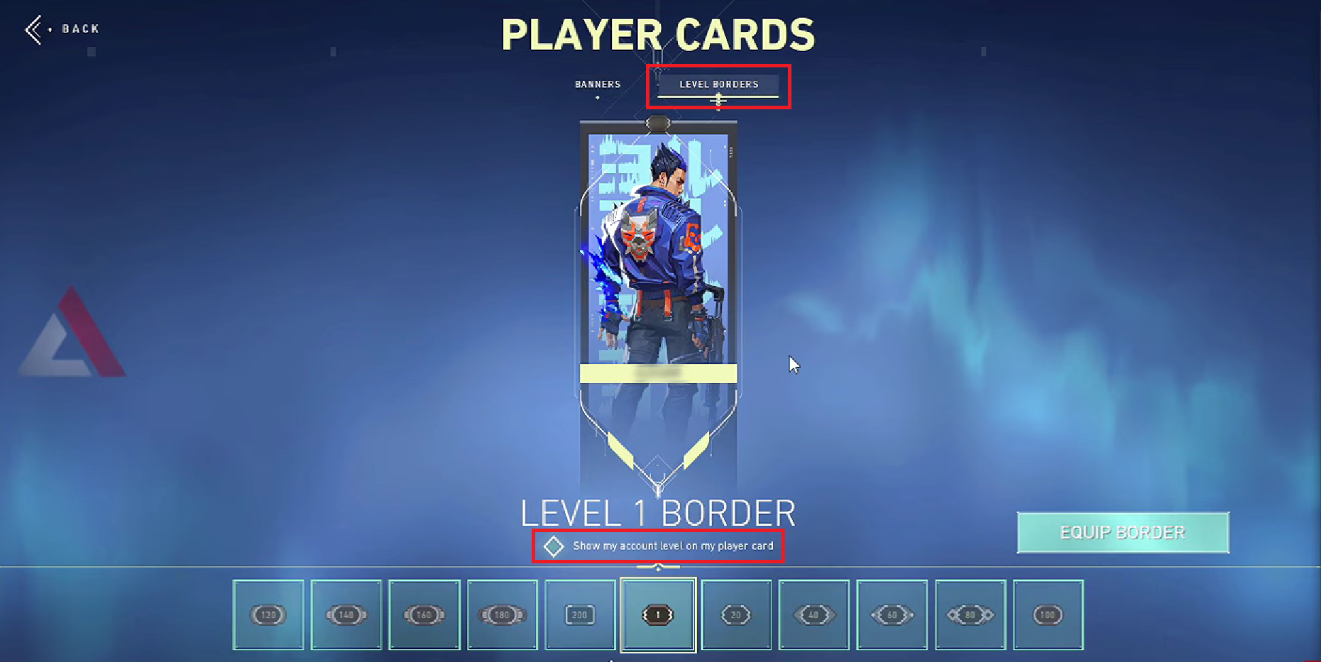 LEVEL BORDERS タブ - Show my account level on my player card オプションのチェックボックスをオフにします