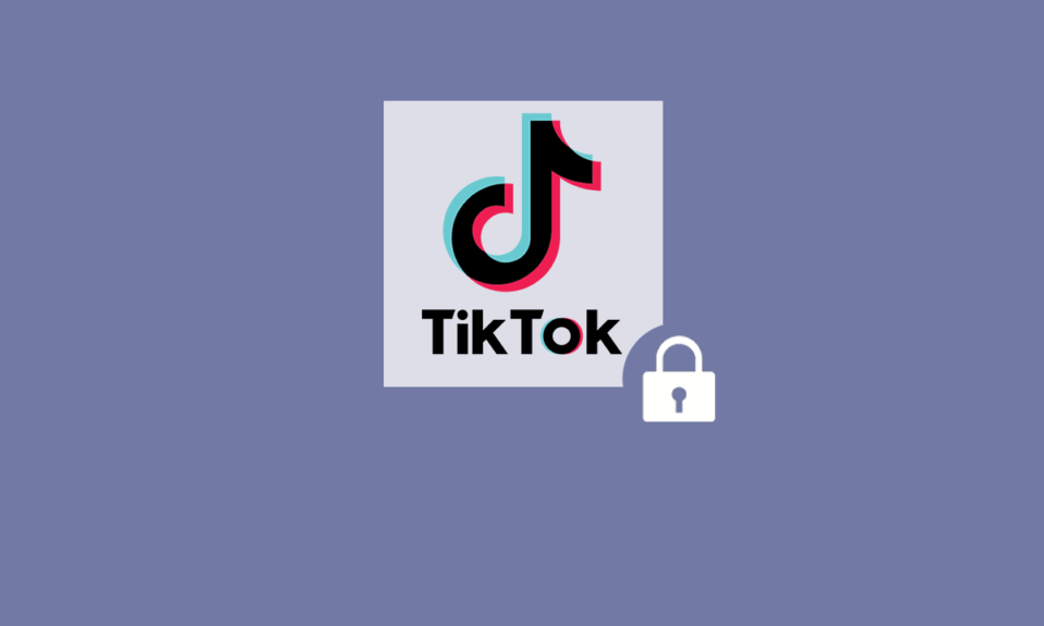 So ändern Sie das TikTok-Passwort ohne Telefonnummer