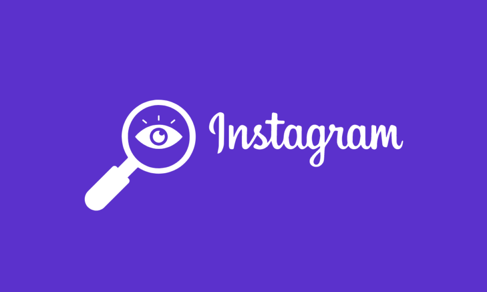 如何在没有人知道的情况下查看 Instagram 故事