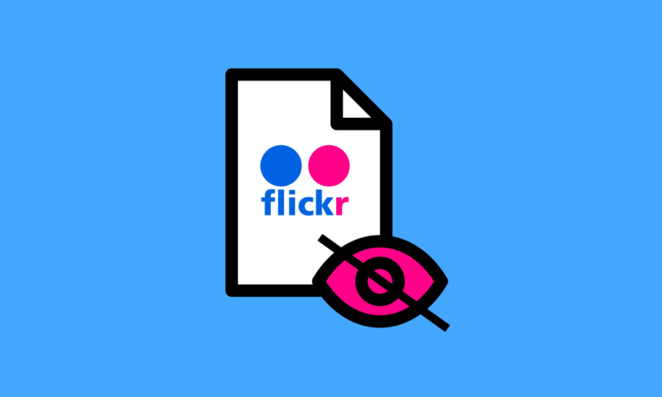 Le foto di Flickr sono private?