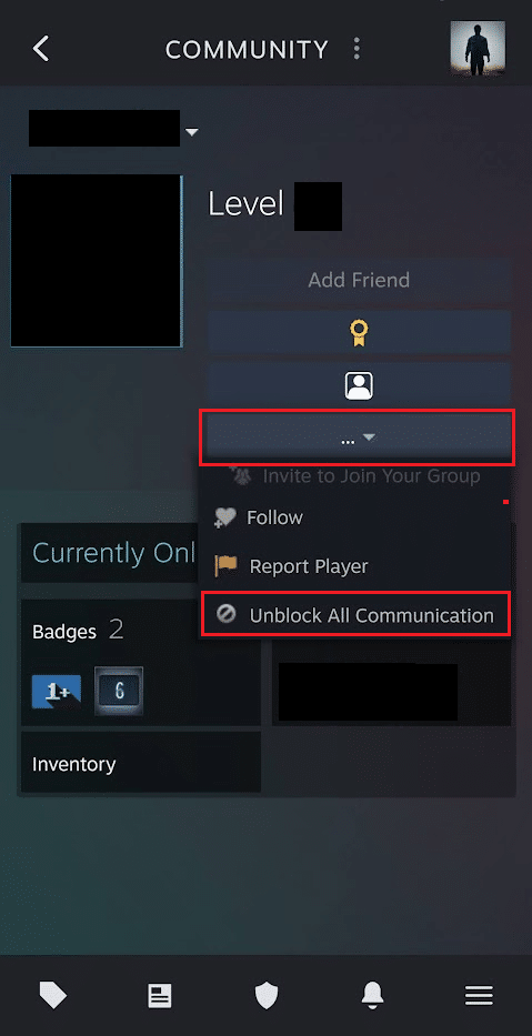 Tippen Sie auf das Symbol mit den drei Punkten – Option „Gesamte Kommunikation entsperren“ | So entsperren Sie jemanden auf Steam