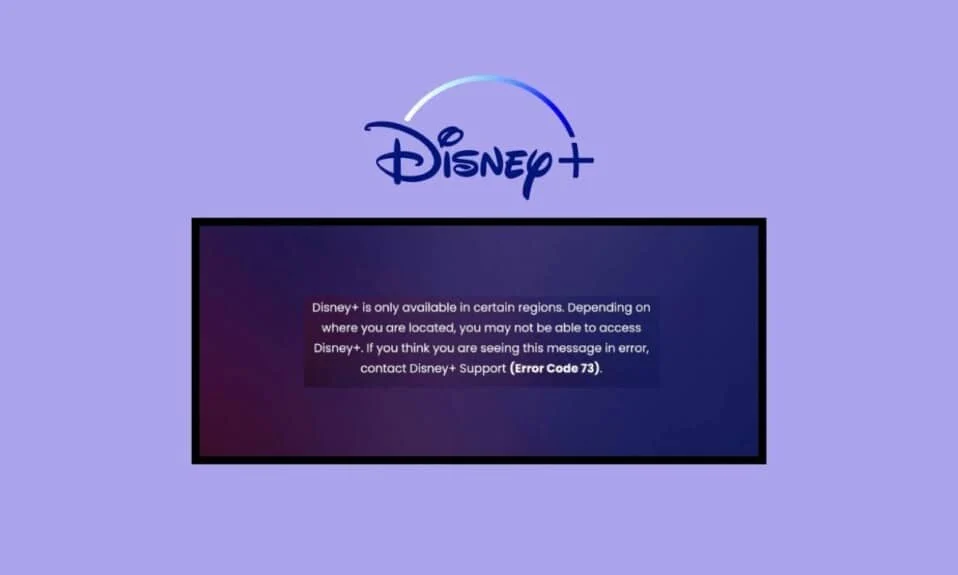 Correction du code d'erreur 73 de Disney Plus