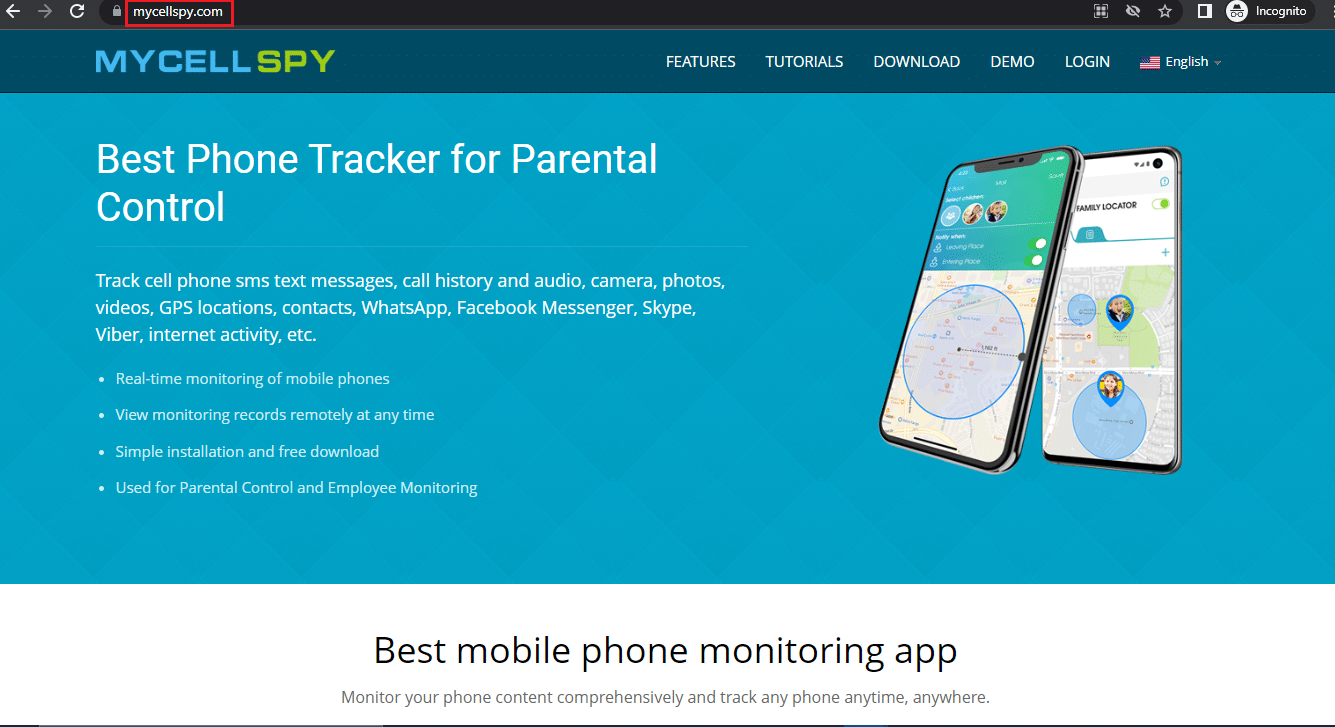 Halaman web resmi MYCELLSPY