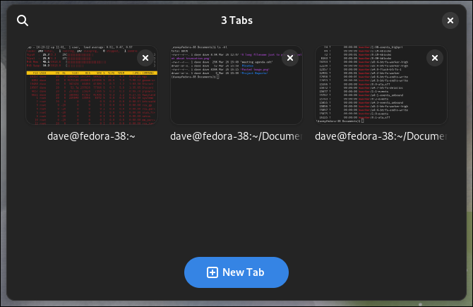 Emulator terminal konsol GNOME menampilkan ikhtisar tab