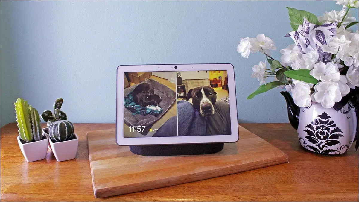 犬が表示されている Google Nest Hub