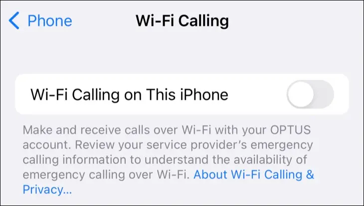 在 iPhone 上打开或关闭 Wi-Fi 通话