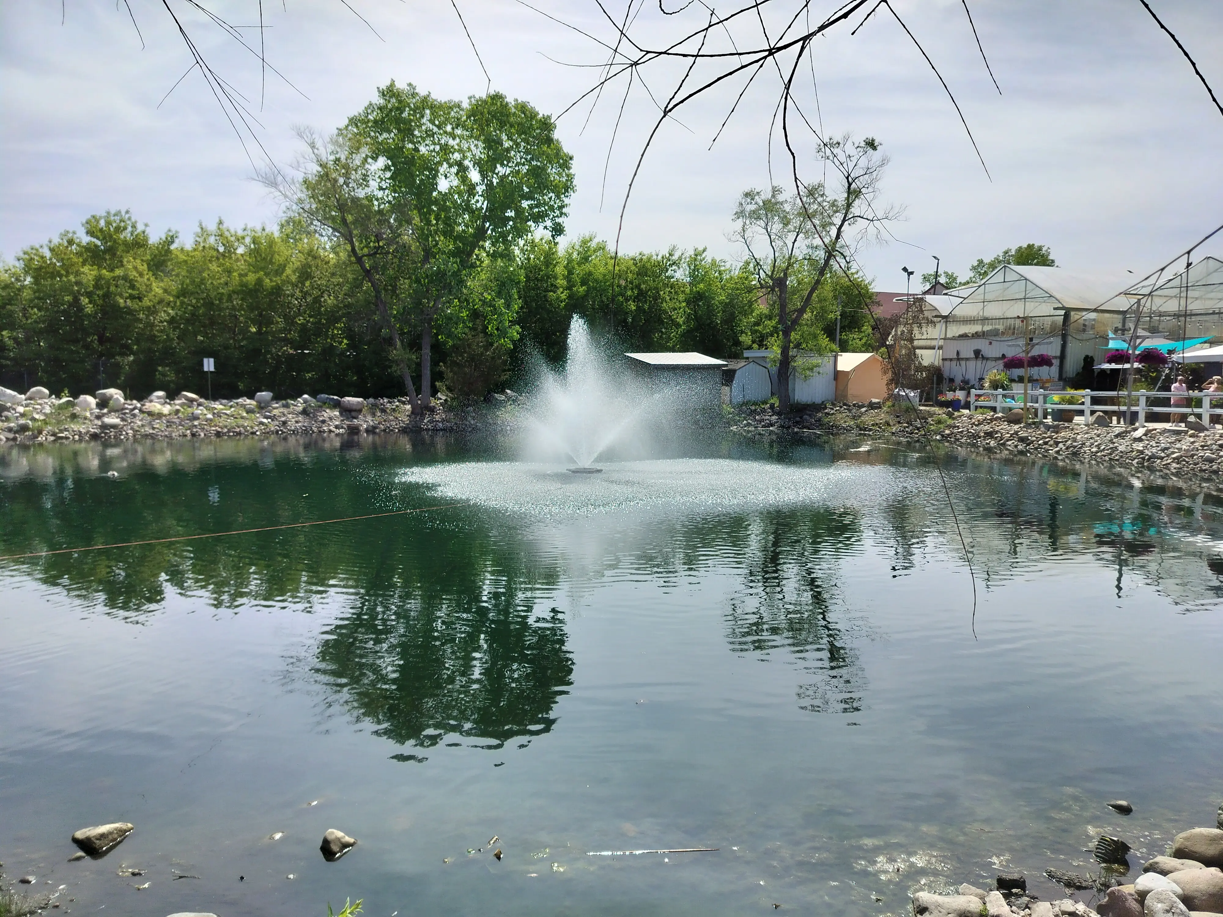 Fontana in uno stagno