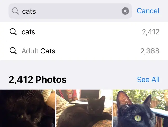 Mencari "kucing" di aplikasi Foto iPhone