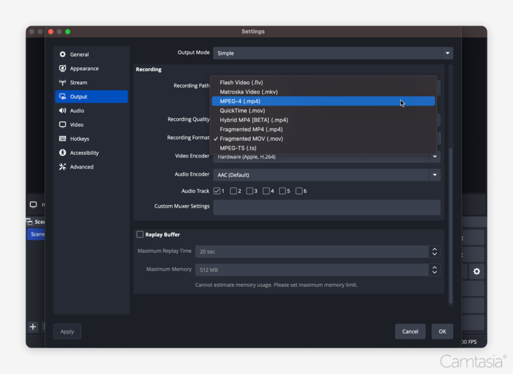 Se abre la opción de configuración haciendo clic en la opción MPEG-4 (.mp4).